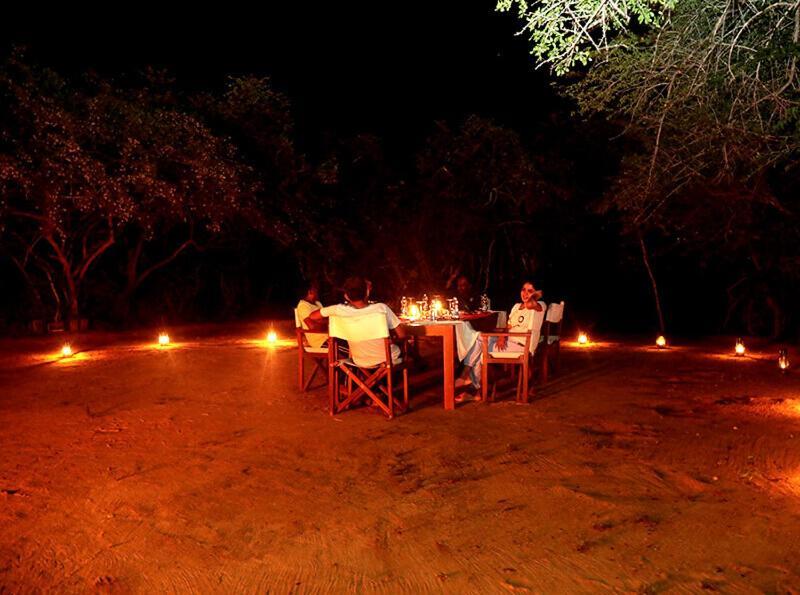 Yala Hotel Lion -Air Conditioned High Luxury Safari Camp ภายนอก รูปภาพ
