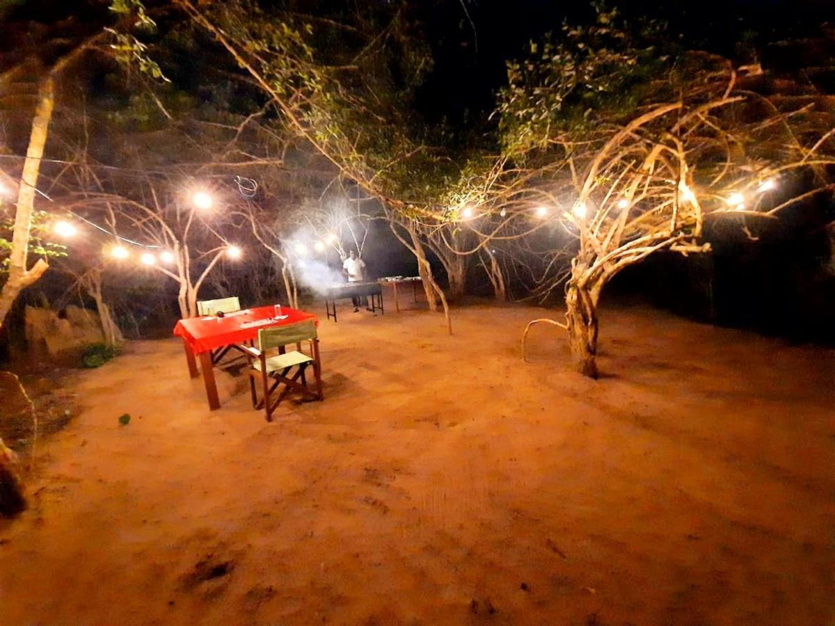 Yala Hotel Lion -Air Conditioned High Luxury Safari Camp ภายนอก รูปภาพ