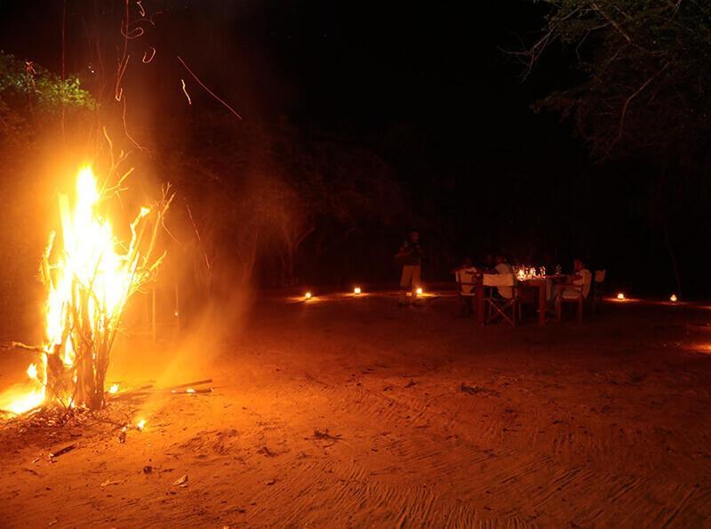 Yala Hotel Lion -Air Conditioned High Luxury Safari Camp ภายนอก รูปภาพ