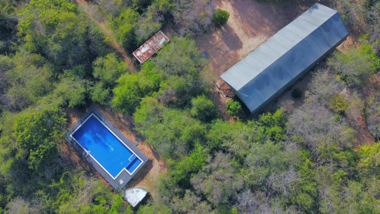 Yala Hotel Lion -Air Conditioned High Luxury Safari Camp ภายนอก รูปภาพ