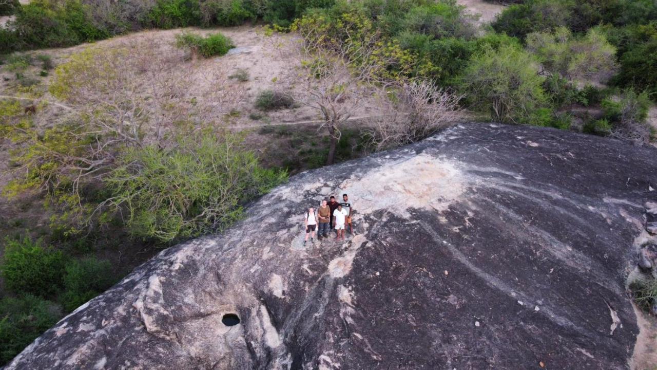 Yala Hotel Lion -Air Conditioned High Luxury Safari Camp ภายนอก รูปภาพ