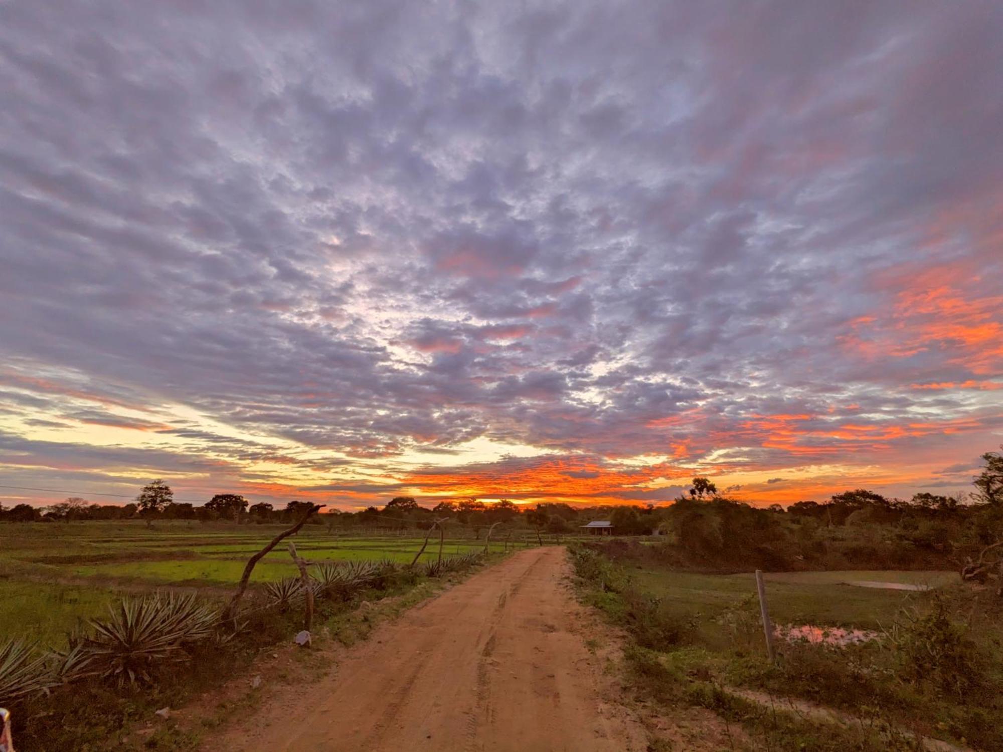 Yala Hotel Lion -Air Conditioned High Luxury Safari Camp ภายนอก รูปภาพ