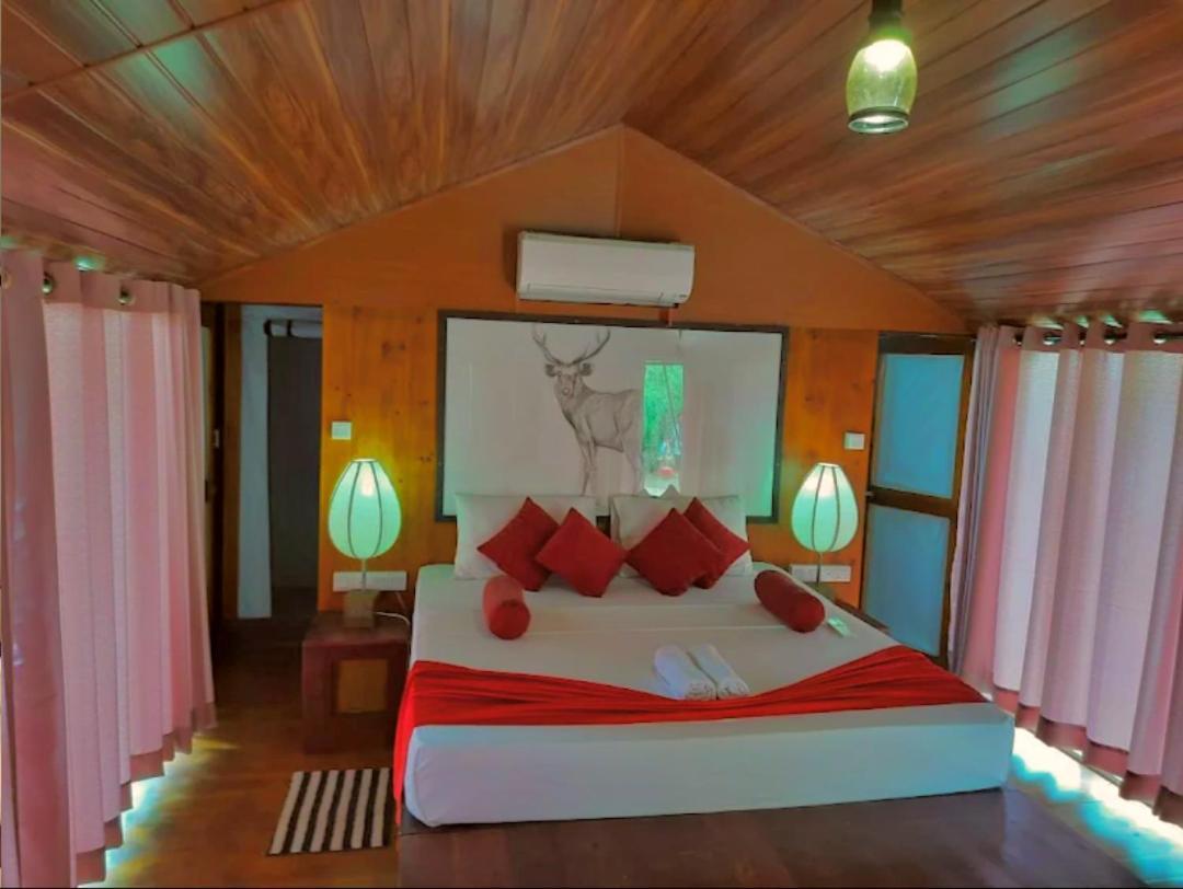 Yala Hotel Lion -Air Conditioned High Luxury Safari Camp ภายนอก รูปภาพ